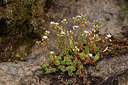 BUITEN BEELD Foto: 269299