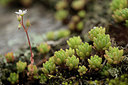 BUITEN BEELD Foto: 269300