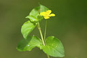 BUITEN BEELD Foto: 269320