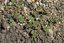 BUITEN BEELD Foto: 269332