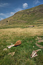 BUITEN BEELD Foto: 269353