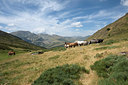 BUITEN BEELD Foto: 269356