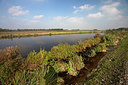 BUITEN BEELD Foto: 269422