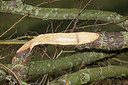 BUITEN BEELD Foto: 269434