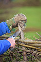 BUITEN BEELD Foto: 269449