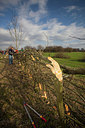 BUITEN BEELD Foto: 269451