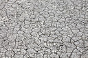 BUITEN BEELD Foto: 269471