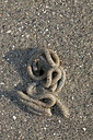 BUITEN BEELD Foto: 269477