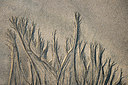BUITEN BEELD Foto: 269479