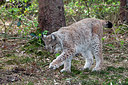 BUITEN BEELD Foto: 269544