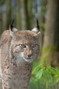 BUITEN BEELD Foto: 269617