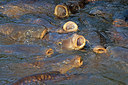BUITEN BEELD Foto: 269619