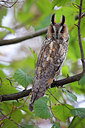 BUITEN BEELD Foto: 269700