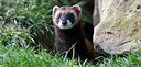 BUITEN BEELD Foto: 269719