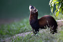 BUITEN BEELD Foto: 269726