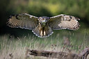 BUITEN BEELD Foto: 269892