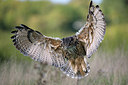 BUITEN BEELD Foto: 269893