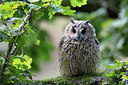 BUITEN BEELD Foto: 269905