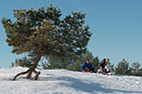 BUITEN BEELD Foto: 269971