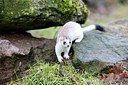 BUITEN BEELD Foto: 269994