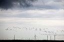 BUITEN BEELD Foto: 270015