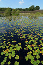 BUITEN BEELD Foto: 270045