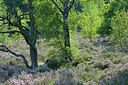 BUITEN BEELD Foto: 270047