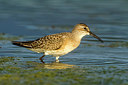 BUITEN BEELD Foto: 270080