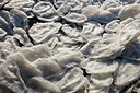 BUITEN BEELD Foto: 270092
