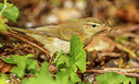BUITEN BEELD Foto: 270135