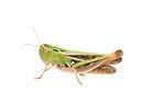 BUITEN BEELD Foto: 270221
