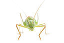 BUITEN BEELD Foto: 270232