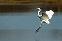 BUITEN BEELD Foto: 270255