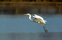 BUITEN BEELD Foto: 270263