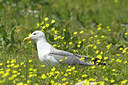 BUITEN BEELD Foto: 270293