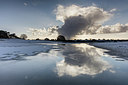 BUITEN BEELD Foto: 270304