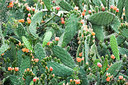 BUITEN BEELD Foto: 270445