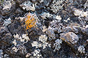 BUITEN BEELD Foto: 270460