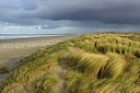 BUITEN BEELD Foto: 270571