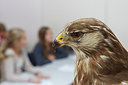 BUITEN BEELD Foto: 270576