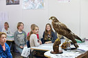BUITEN BEELD Foto: 270577