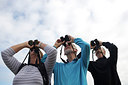 BUITEN BEELD Foto: 270578
