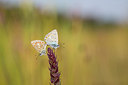 BUITEN BEELD Foto: 270628