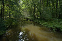 BUITEN BEELD Foto: 270702