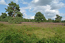 BUITEN BEELD Foto: 270709
