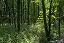 BUITEN BEELD Foto: 270725