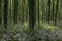 BUITEN BEELD Foto: 270736