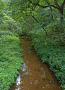 BUITEN BEELD Foto: 270738