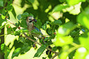 BUITEN BEELD Foto: 270744