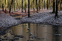 BUITEN BEELD Foto: 270805